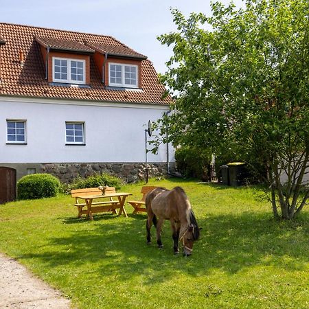 Ferienwohnung "Flori'S Ponyhof" Kröpelin Dış mekan fotoğraf