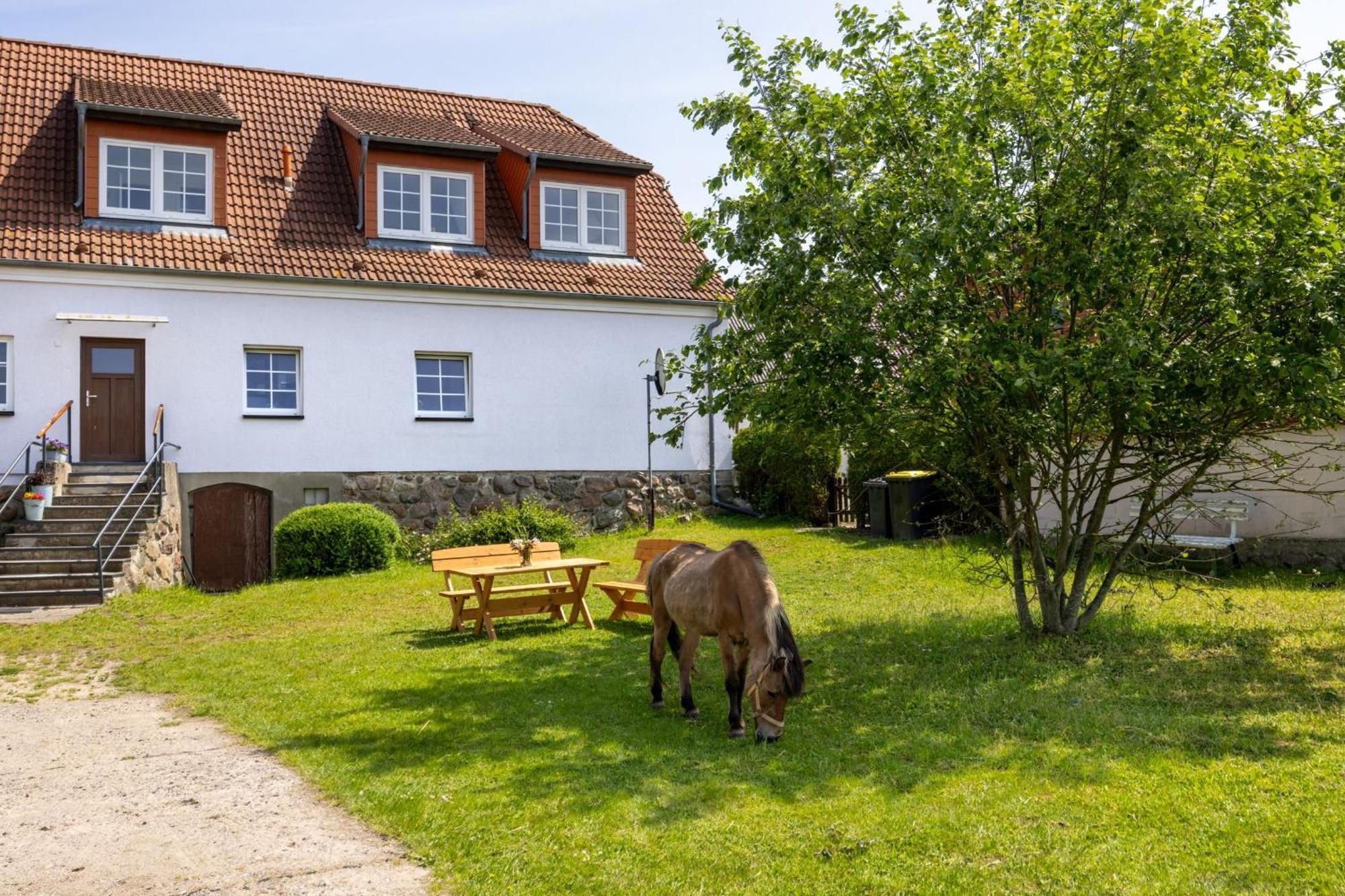 Ferienwohnung "Flori'S Ponyhof" Kröpelin Dış mekan fotoğraf