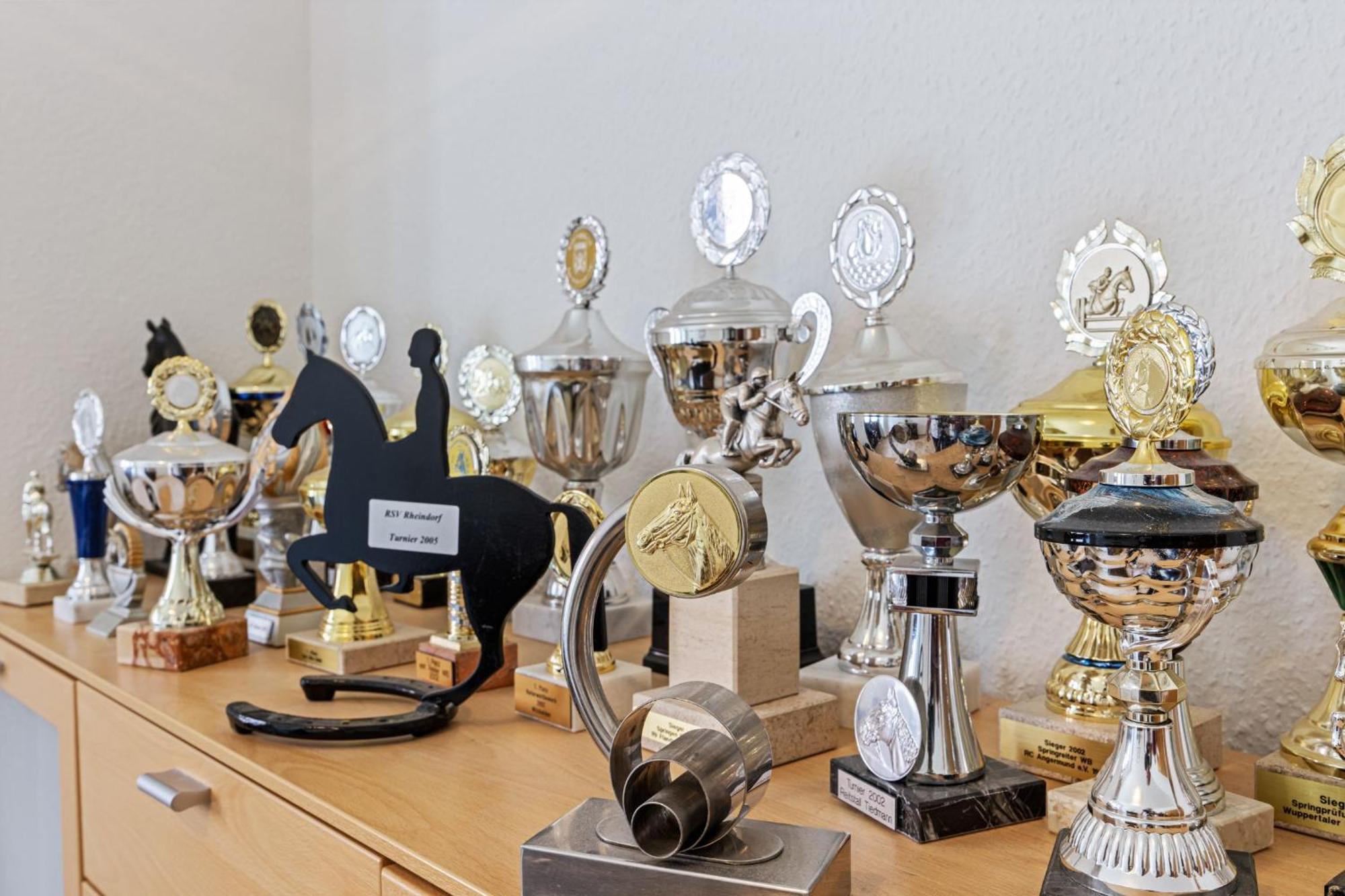 Ferienwohnung "Flori'S Ponyhof" Kröpelin Dış mekan fotoğraf